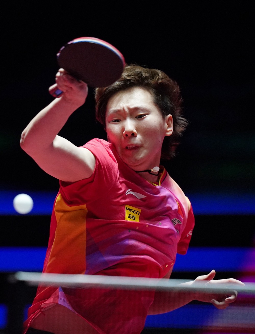 的带领下 的带领下