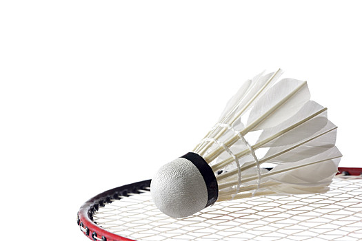 队巨额投入 队巨额投入